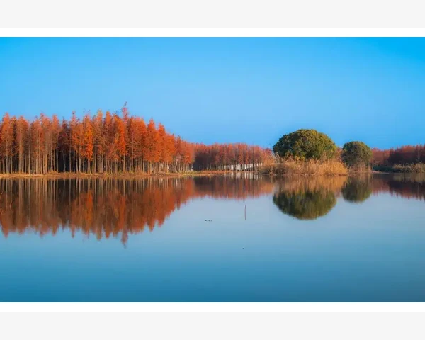 中暑了该吃什么？夏季解暑养生指南